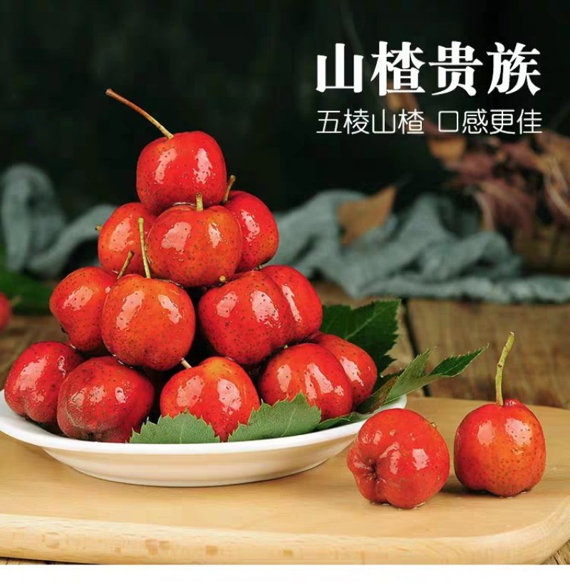 大金星嫁接山楂树苗个大肉脆产量高当年结果