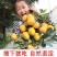 鸡心柿苗无核鸡心脆甜柿子苗基地直销包成活
