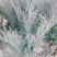 沙地柏：沙地柏：沙地柏：