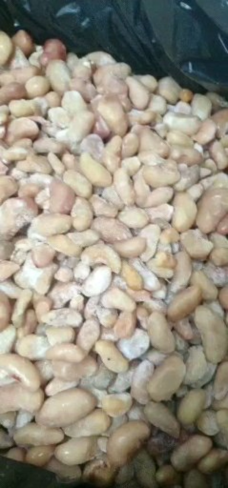 干冻鸡腰子鸡子鸡春子
