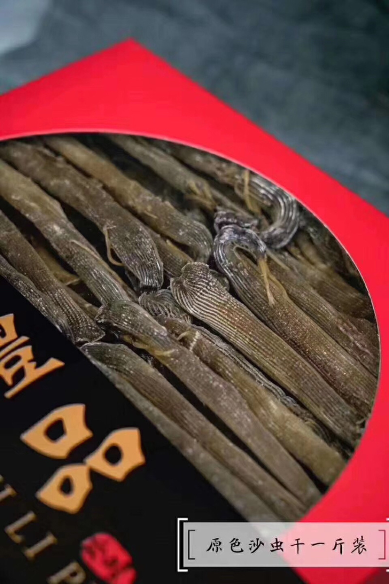 大沙虫原色大沙虫无漂白大沙虫足干厚肉