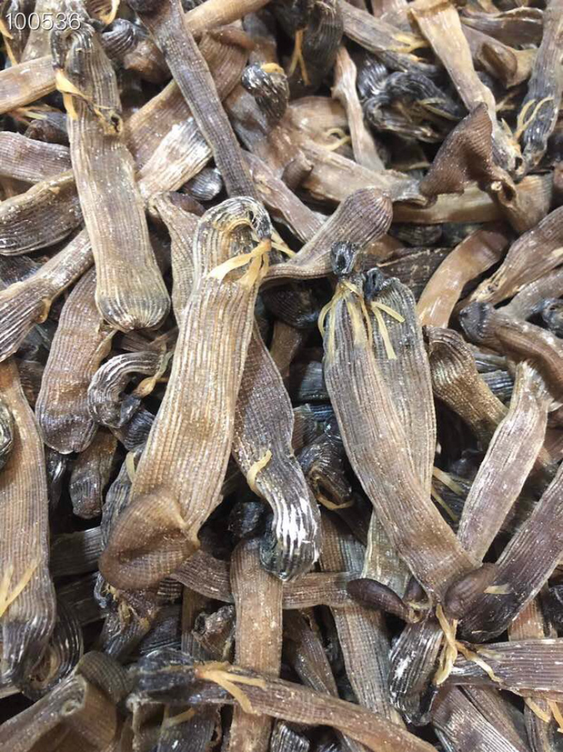 大沙虫原色大沙虫无漂白大沙虫足干厚肉