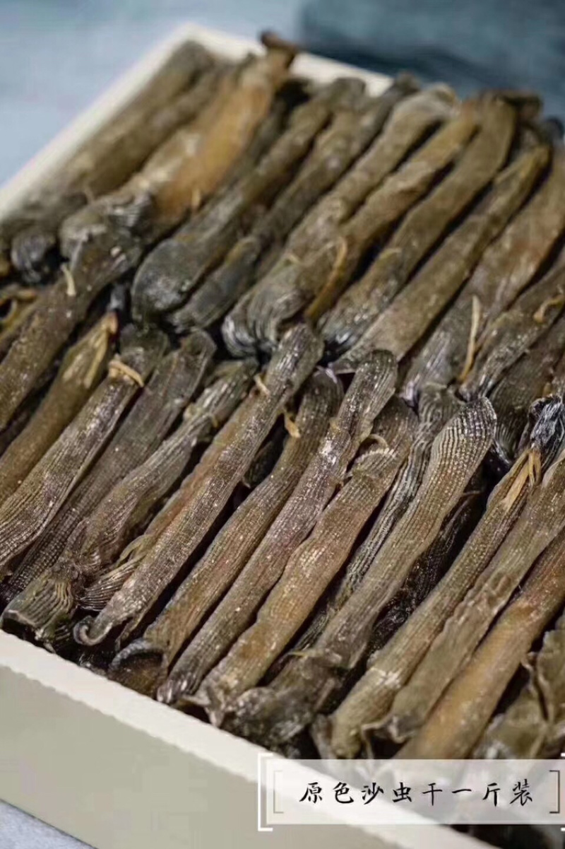 大沙虫原色大沙虫无漂白大沙虫足干厚肉