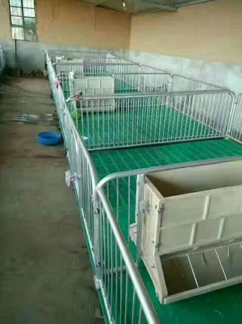母猪产床母猪定位栏限位栏肉猪限位栏养猪设备