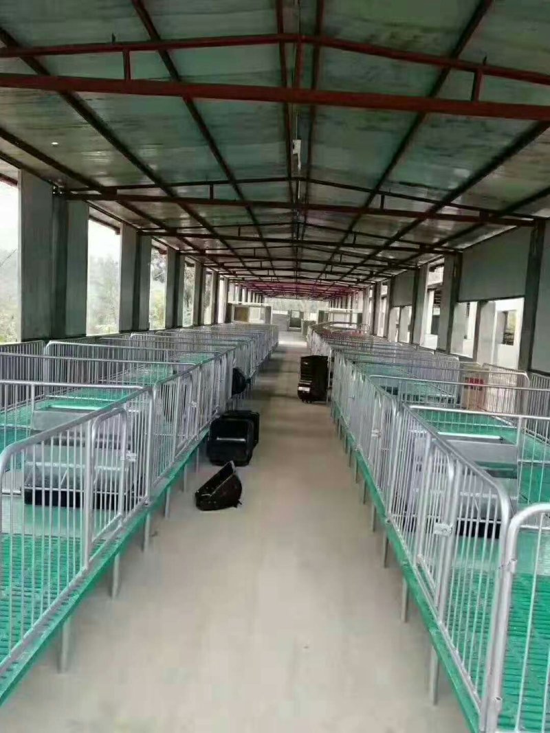母猪产床母猪定位栏限位栏肉猪限位栏养猪设备