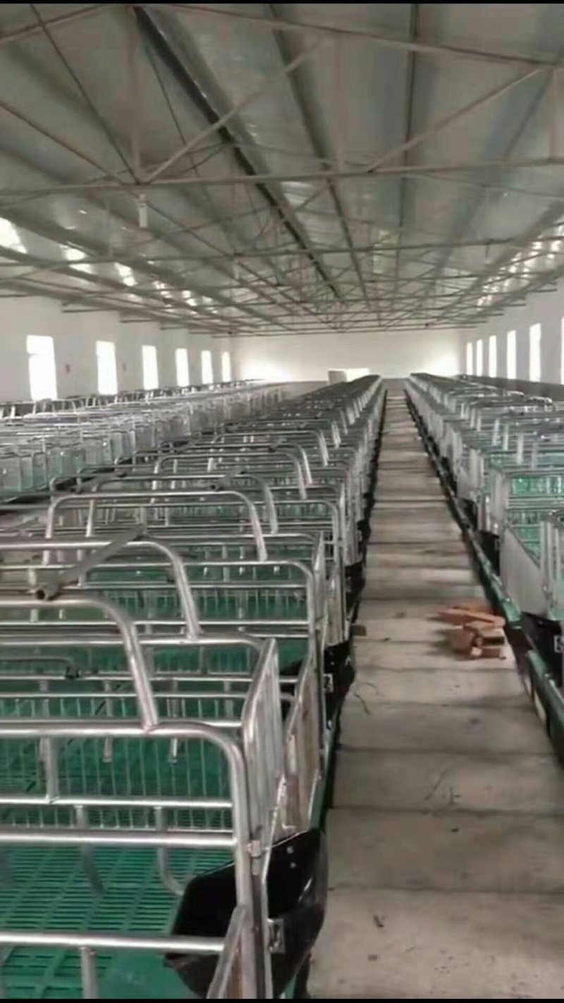 母猪产床母猪定位栏限位栏肉猪限位栏养猪设备