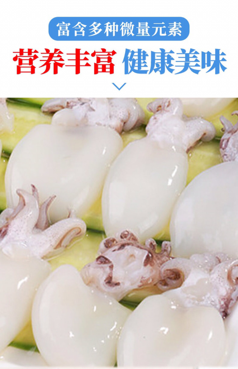 新鲜小墨鱼仔6斤鲜活冷冻包邮海鲜速冻花枝小乌贼