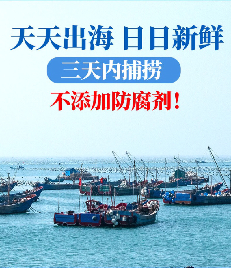 新鲜小墨鱼仔6斤鲜活冷冻包邮海鲜速冻花枝小乌贼