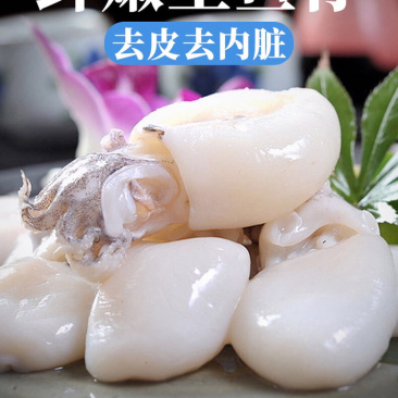 新鲜小墨鱼仔6斤鲜活冷冻包邮海鲜速冻花枝小乌贼