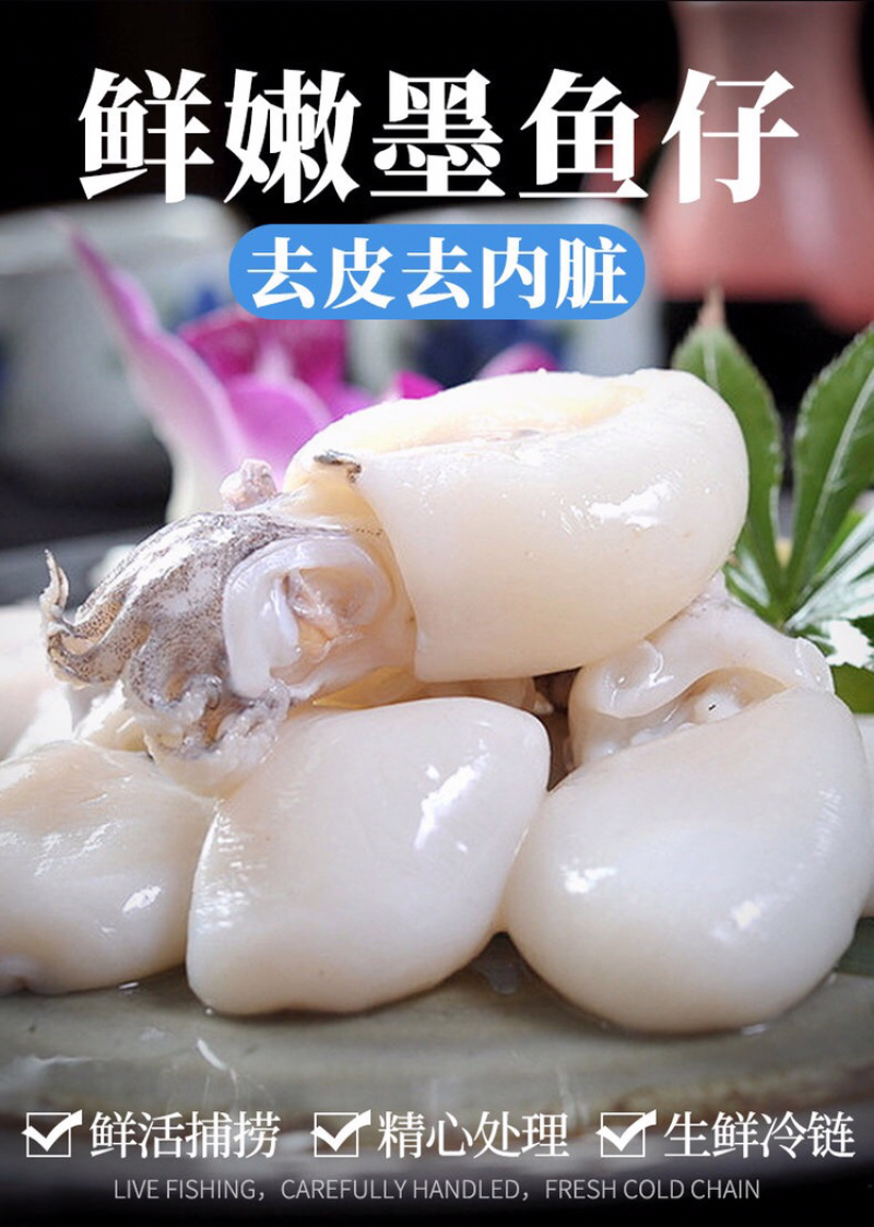 新鲜小墨鱼仔6斤鲜活冷冻包邮海鲜速冻花枝小乌贼