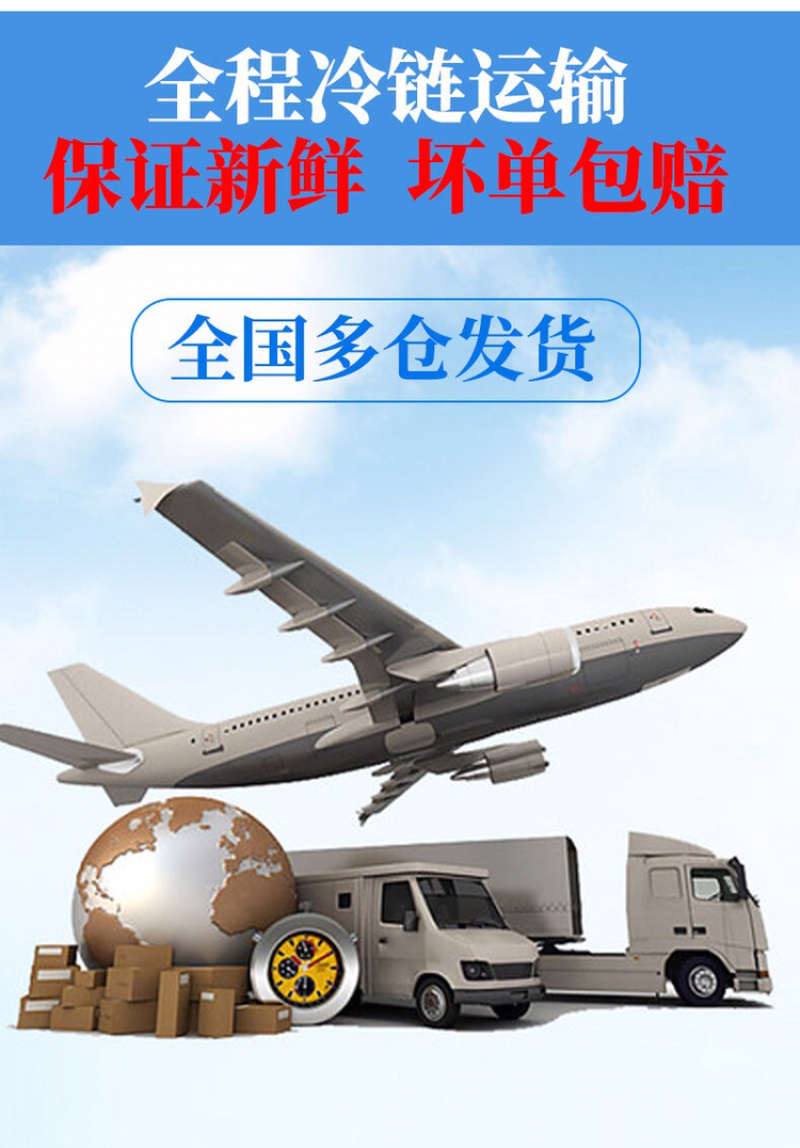 新鲜小墨鱼仔6斤鲜活冷冻包邮海鲜速冻花枝小乌贼