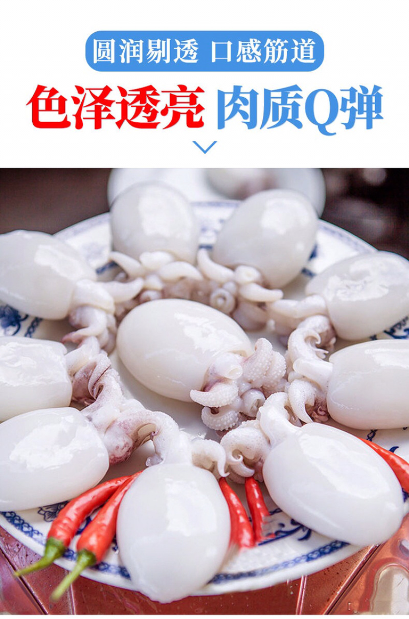 新鲜小墨鱼仔6斤鲜活冷冻包邮海鲜速冻花枝小乌贼