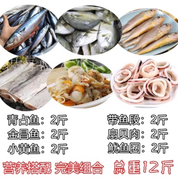 新鲜冷冻青占鱼金昌鱼小黄鱼带鱼扇贝肉鱿鱼圈海鲜组合海鲜大