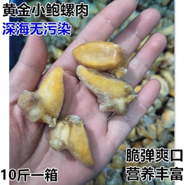 现剥鲍螺肉10斤新鲜冷冻鲍鱼螺肉珍珠鲍老婆脚麻辣小海鲜