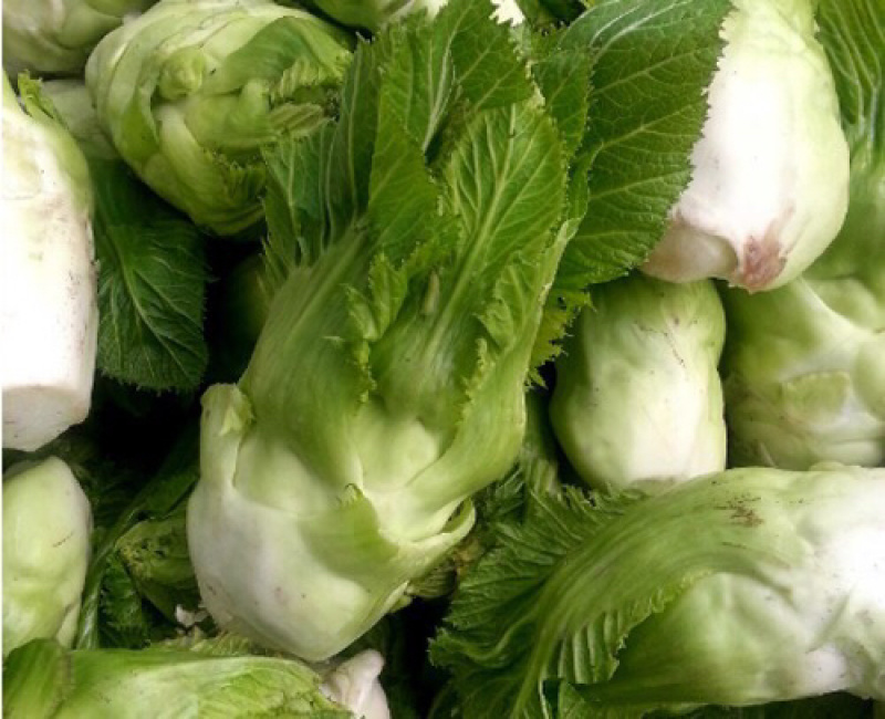 儿菜，南充菜，娃儿菜，抱儿菜，精品儿菜，