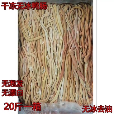 新鲜冷冻熟鸭肠烫鸭肠切开去油无冰20斤铁板鸭肠卤味肠商用