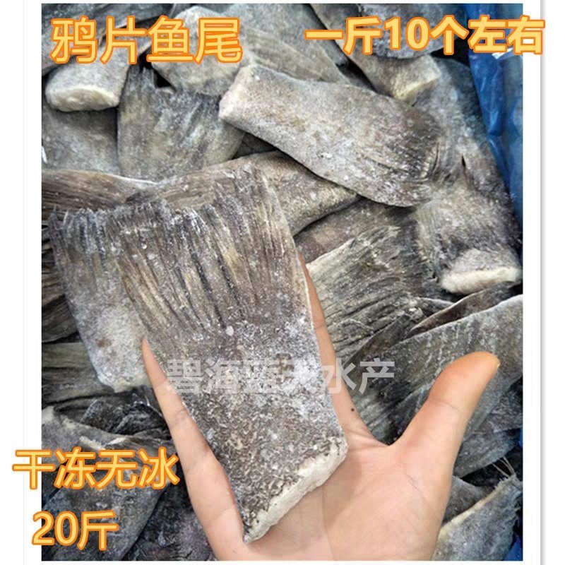 新鲜鸦片鱼尾20斤火锅烧烤蝶鱼比目鱼冷冻酒店商用食材