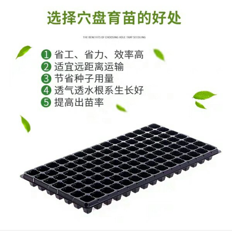 穴盘，穴盘，育苗盘营养钵塑料蔬菜苗加厚穴盘厂家供货