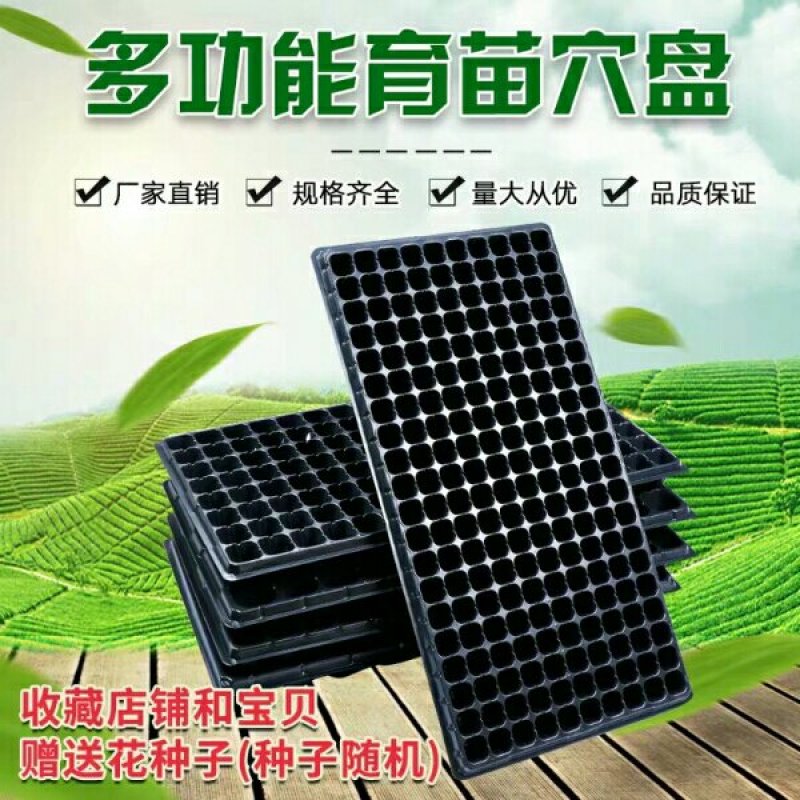 穴盘，穴盘，育苗盘营养钵塑料蔬菜苗加厚穴盘厂家供货