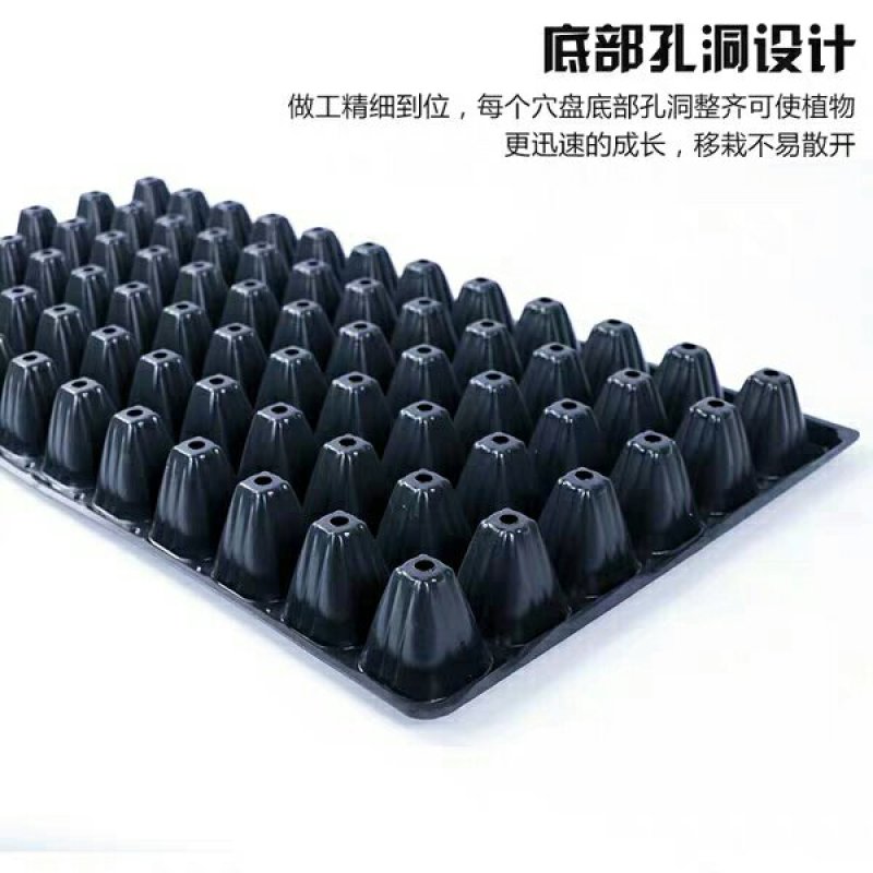穴盘，穴盘，育苗盘营养钵塑料蔬菜苗加厚穴盘厂家供货