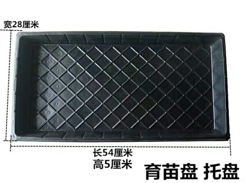 穴盘，穴盘，育苗盘营养钵塑料蔬菜苗加厚穴盘厂家供货