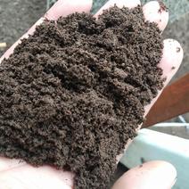 蚯蚓粪/改良土壤专用肥/花卉果树瓜果蔬菜育苗有机肥