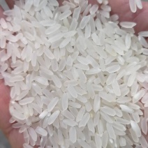 大米，东北大米，江苏，山东大米碎米，欢迎选购