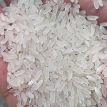 大米，东北大米，江苏，山东大米碎米，欢迎选购