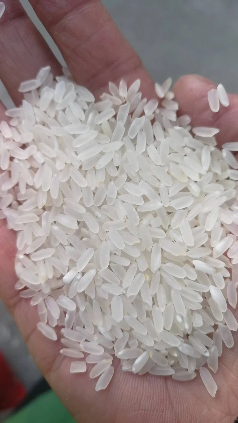 大米，东北大米，江苏，山东大米碎米，欢迎选购