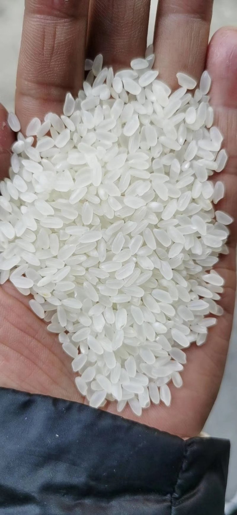 大米，东北大米，江苏，山东大米碎米，欢迎选购