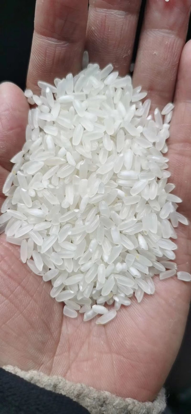 大米，东北大米，江苏，山东大米碎米，欢迎选购