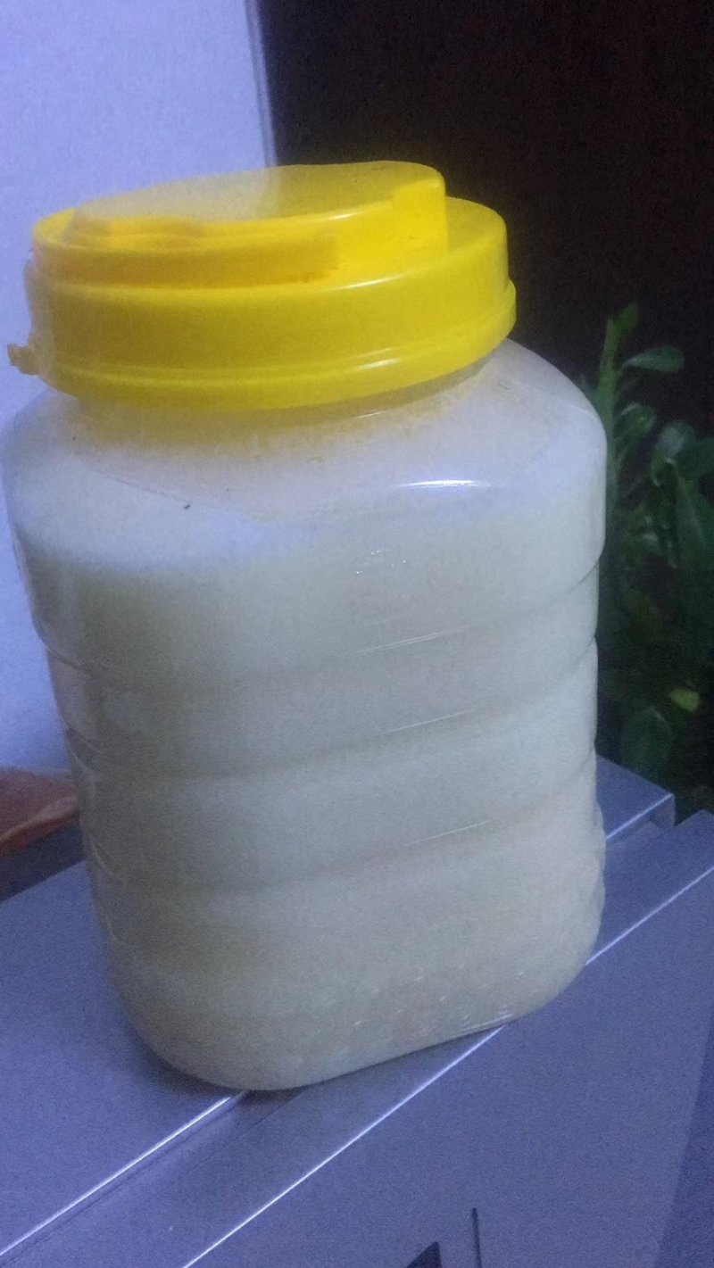 东北纯椴树蜜百花蜜