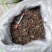 【基地特价】玄参无硫过筛烘干片,基地直销,量小清仓特价