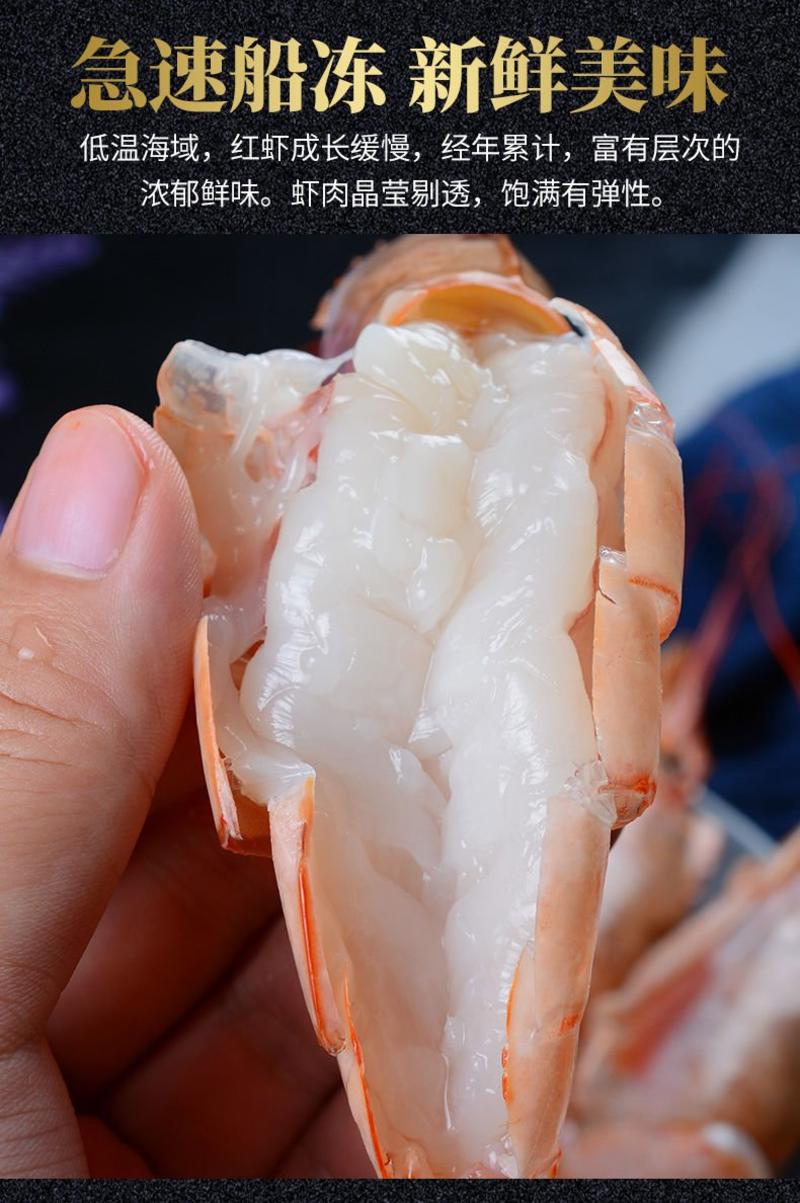 【一件代发】进口阿根廷红虾超大海鲜水产鲜活深海大虾批发