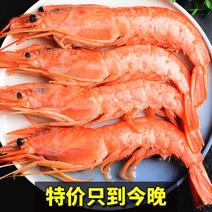【一件】进口阿根廷红虾超大海鲜水产鲜活深海大虾批发