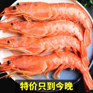 【一件代发】进口阿根廷红虾超大海鲜水产鲜活深海大虾批发
