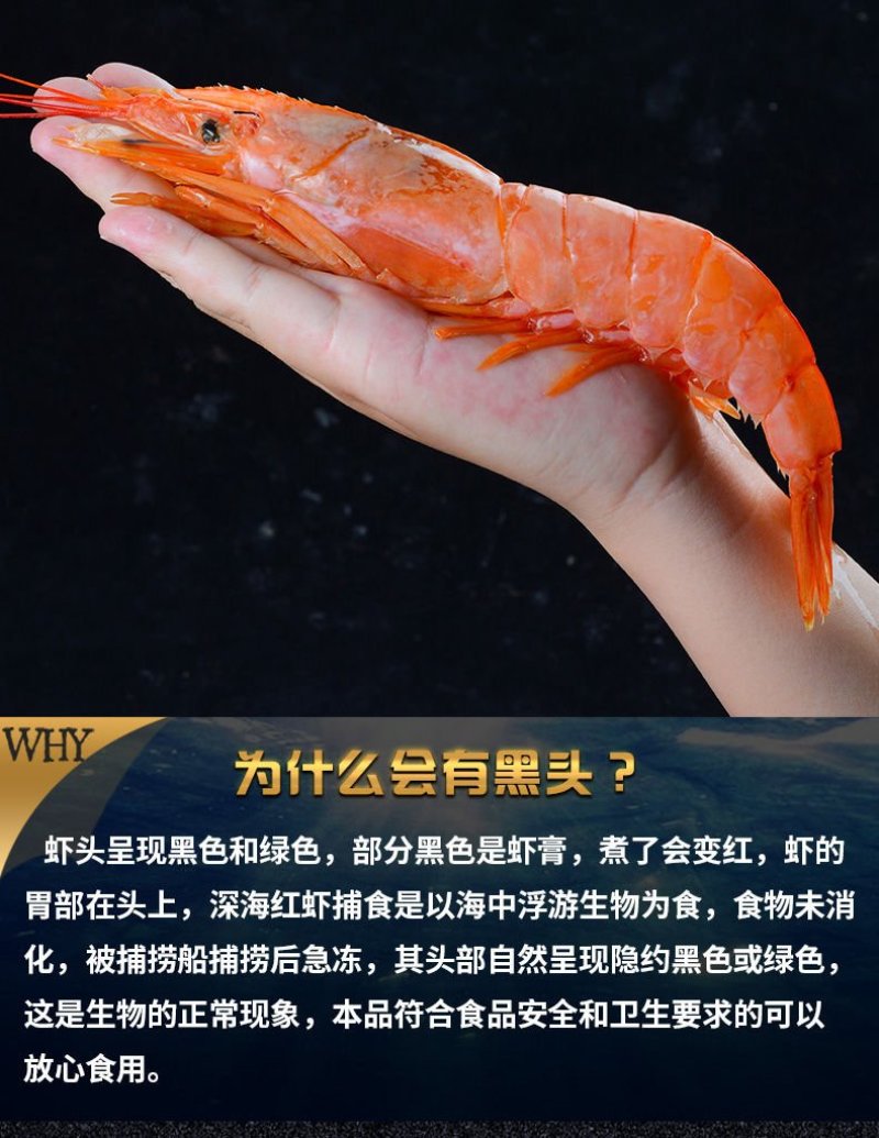 【一件代发】进口阿根廷红虾超大海鲜水产鲜活深海大虾批发