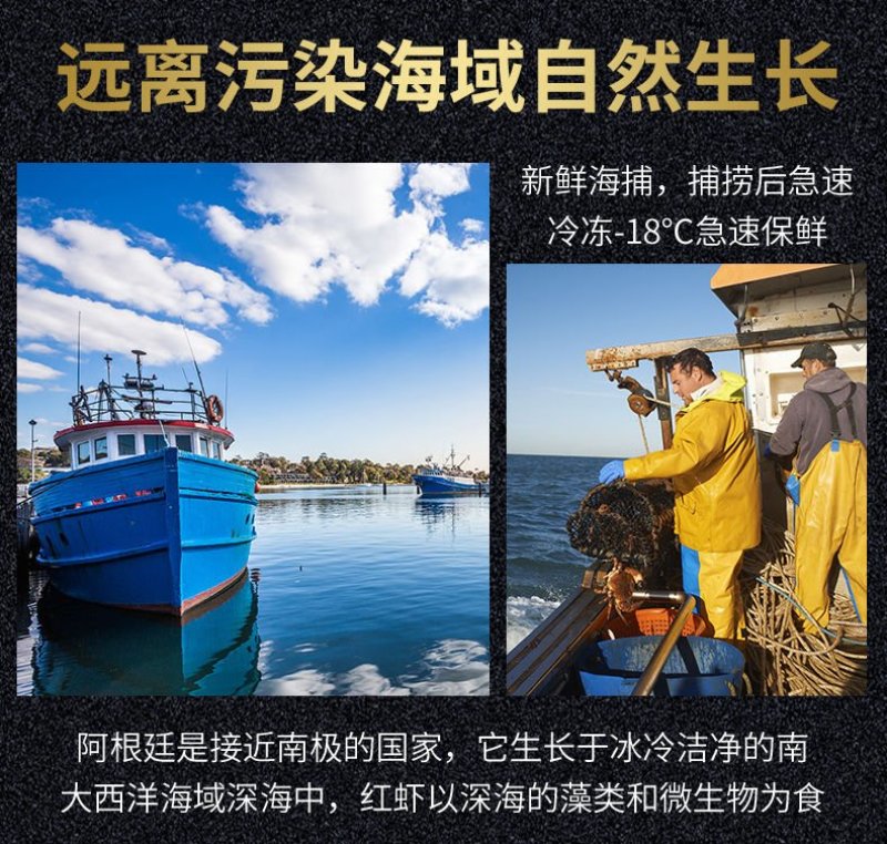 【一件代发】进口阿根廷红虾超大海鲜水产鲜活深海大虾批发