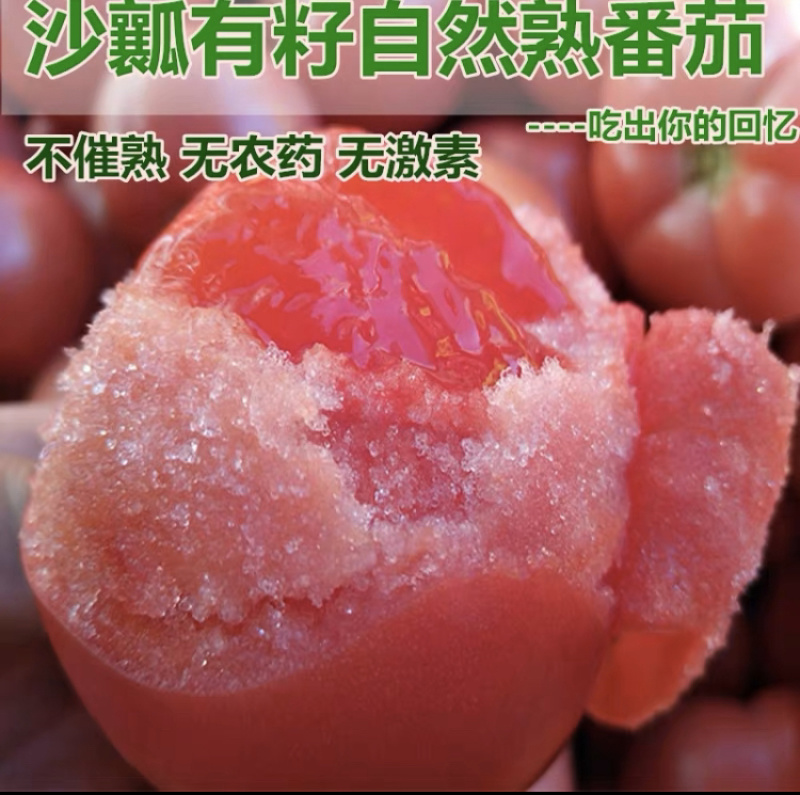高糖度口感类沙心西红柿苗，还您童年的记忆