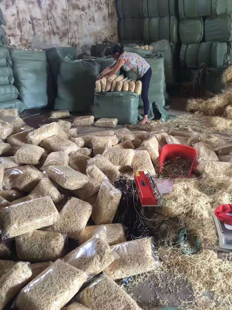 灯芯草龙须草灯草中药材灯心草一斤起批
