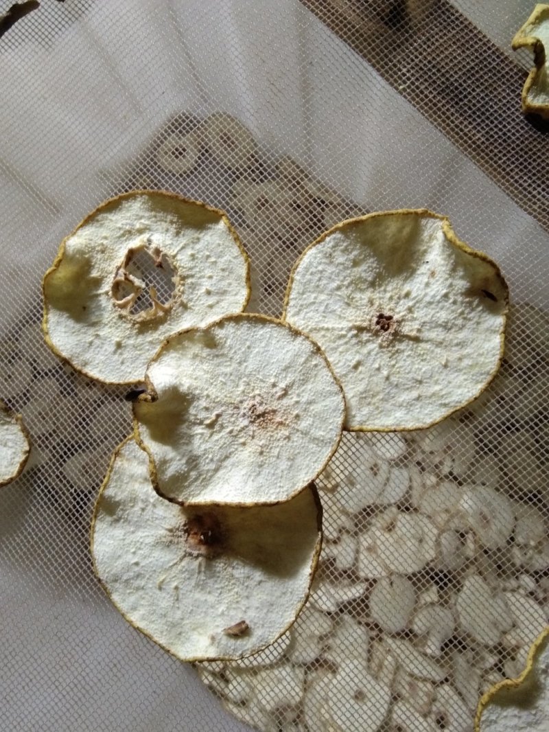正宗无硫赵县雪梨干低温烘干技术无硫加工健康量大价格可以谈