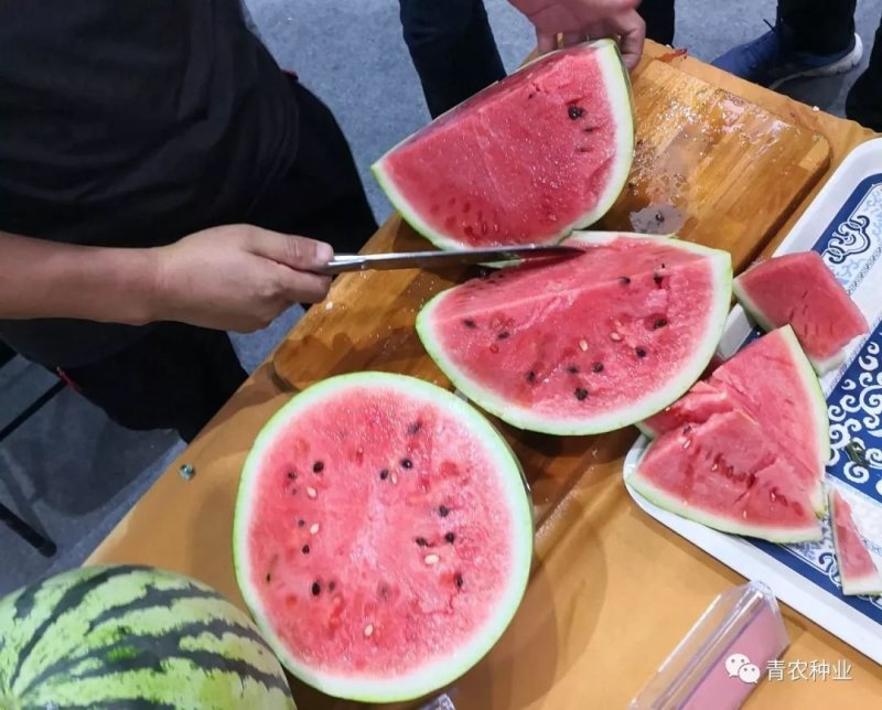 美都类【旺都】，13～15度糖，抗裂，果型更大