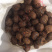 桂林瑶乡马蹄（荸荠）阿新农产品自产自销，零售批发欢迎订购