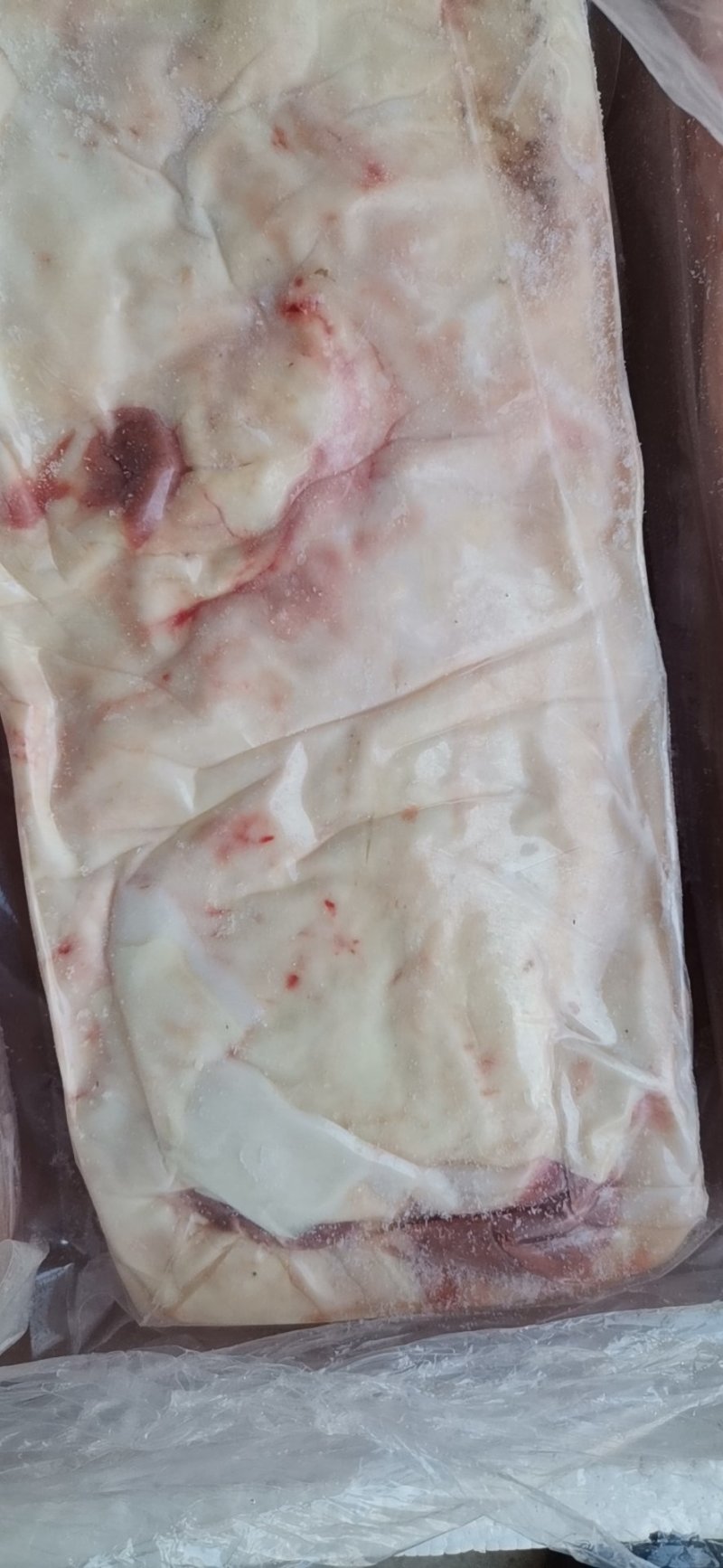 纯干鲁西黄牛精修牛腩筋