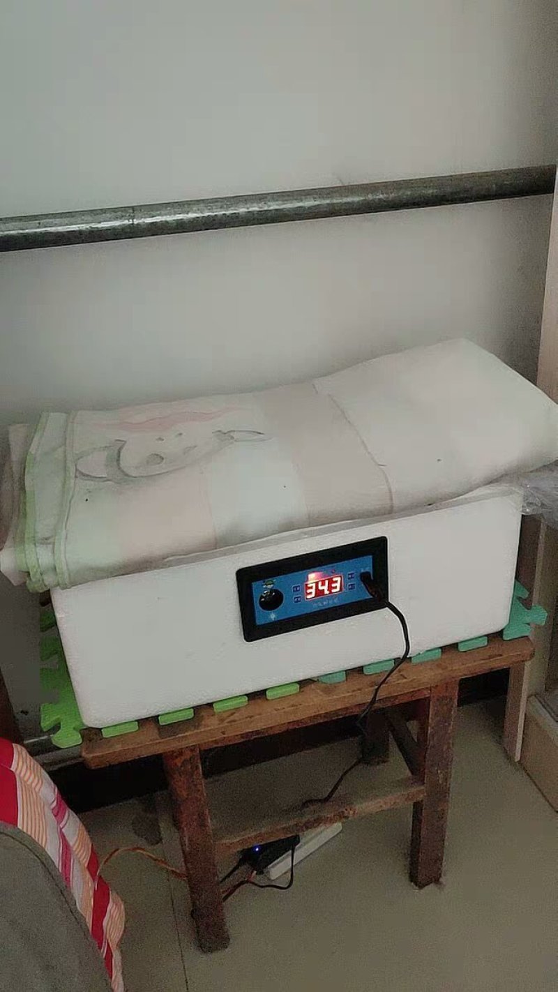 新伟达水床孵化机全自动小型家用型孔雀孵蛋器鸭鹅鸽子小鸡孵