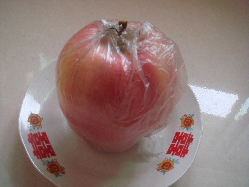 比烟富八还好的苹果～众成1号全红苹果苗，2年生挂小树帽苗