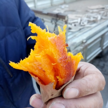 高品质烟薯25，纯沙土地，蜜薯烤薯电商大量有售