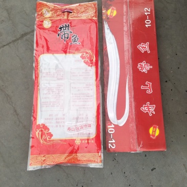 带鱼