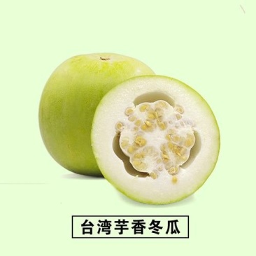 香芋冬瓜、精品直销、欢迎咨询