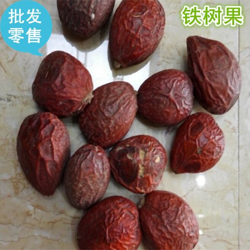 铁树果凤凰蛋铁树子无硫净货保正品批发零售冷背中药材